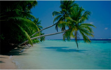 Туры в доминикане